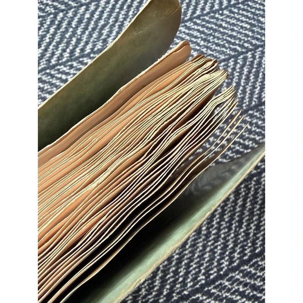 VTG rare 1950s-60s Asgrow Seed Salesman Sample Book 280+ Labels Accopress Binder